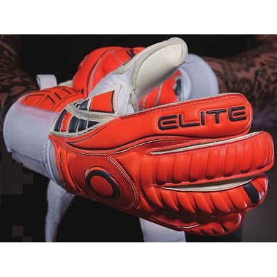 Goalkeeper gloves EliteSport LEON BIONICO