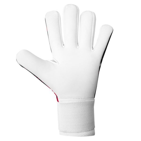 ELITE SPORT STORM ELITEST фото